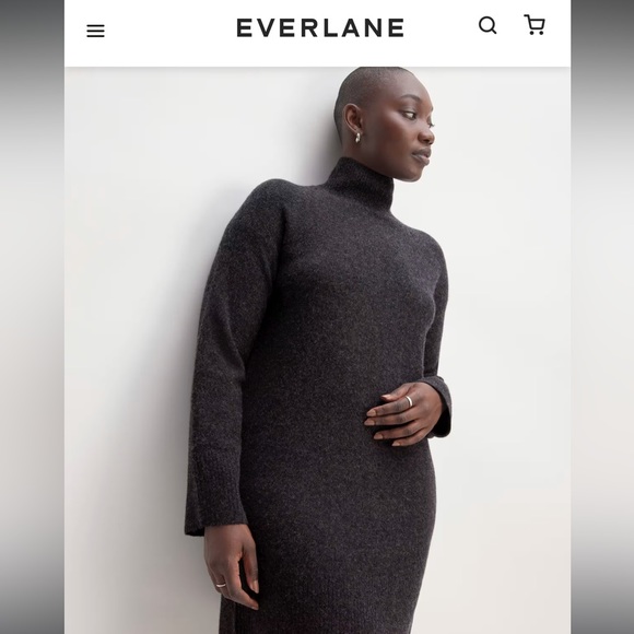 NWOT Everlane The Cozy Stretch Turtleneck Dress - large - Picture 8 of 9